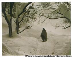 雪国の女