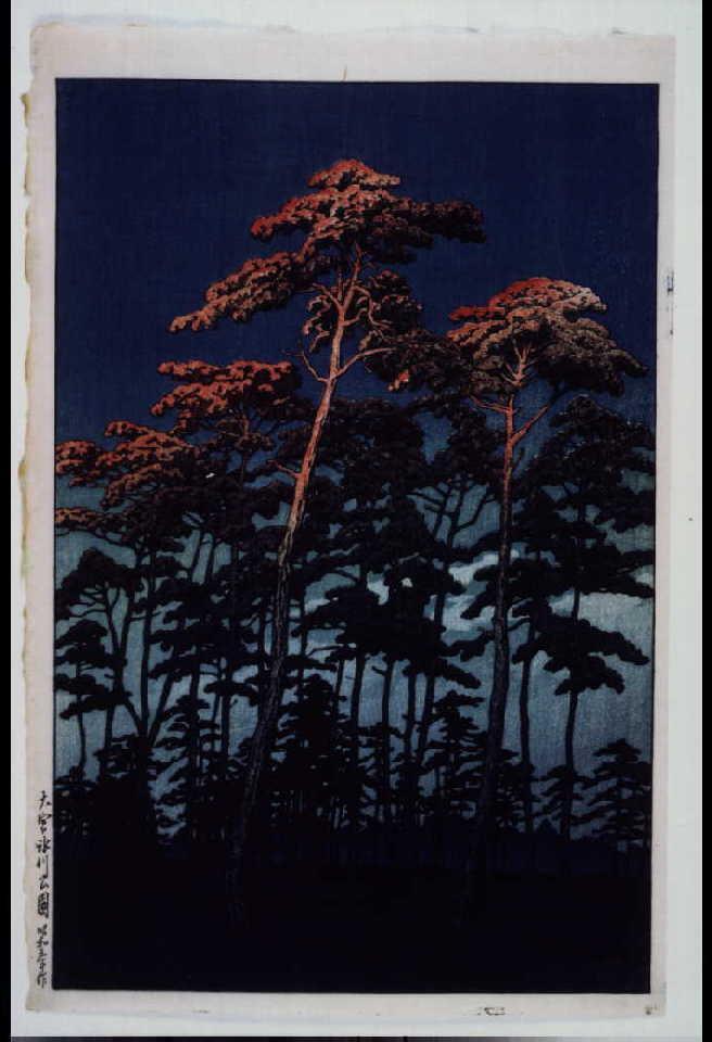 作品画像:大宮氷川公園 試摺