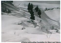 作品画像:雪国風景