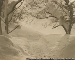 作品画像:雪