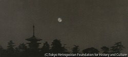 作品画像:薬師寺月夜