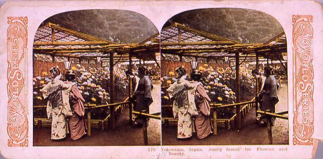 作品画像:Yokohama,Japan.Justly famed for FlowersAnd Beauty.170