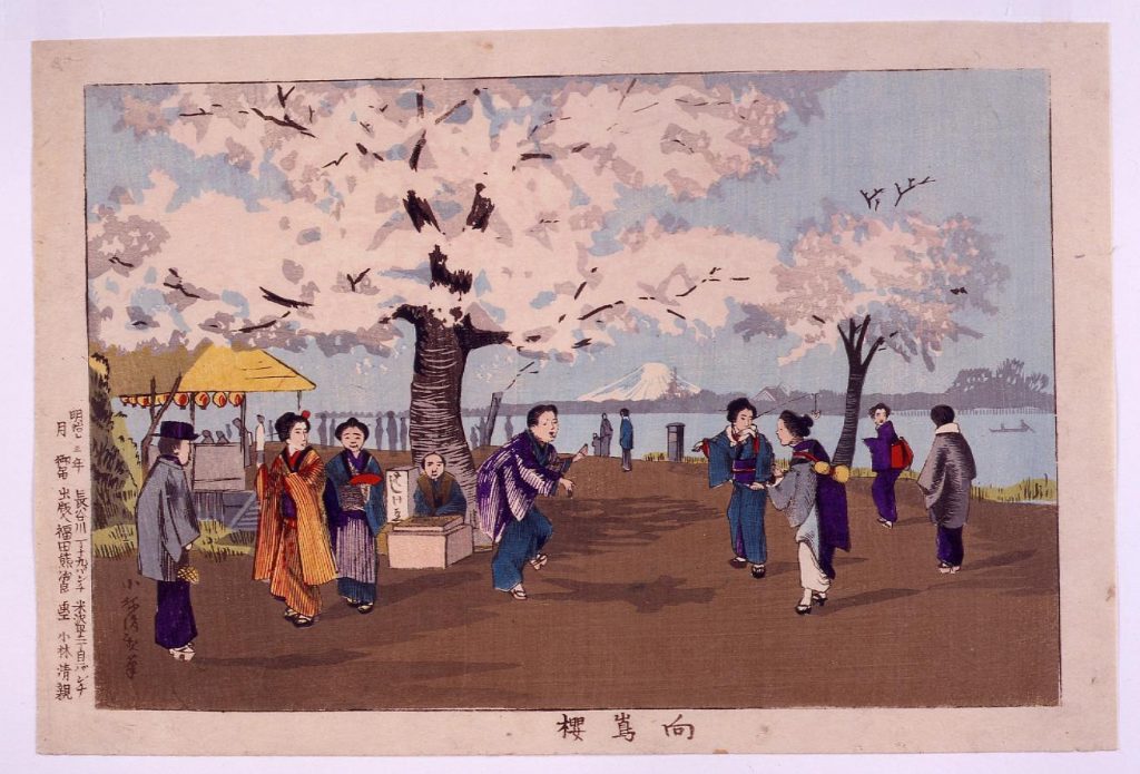 作品画像:向島桜