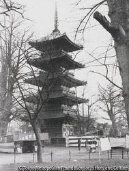 作品画像:浅草寺五重の塔