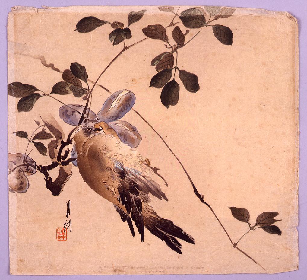 作品画像:あけびと鳥