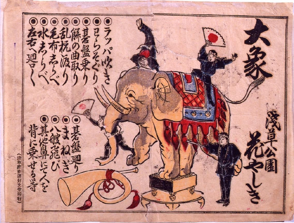 作品画像:浅草公園花やしき大象