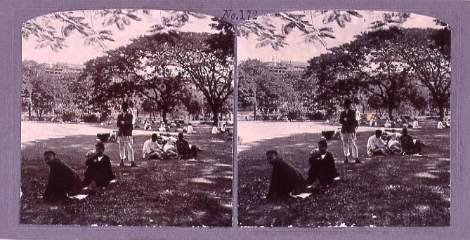 作品画像:ラングーン市内の公園(No.172)