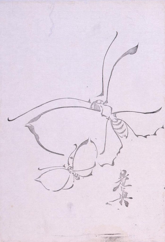 作品画像:墨版 蝶