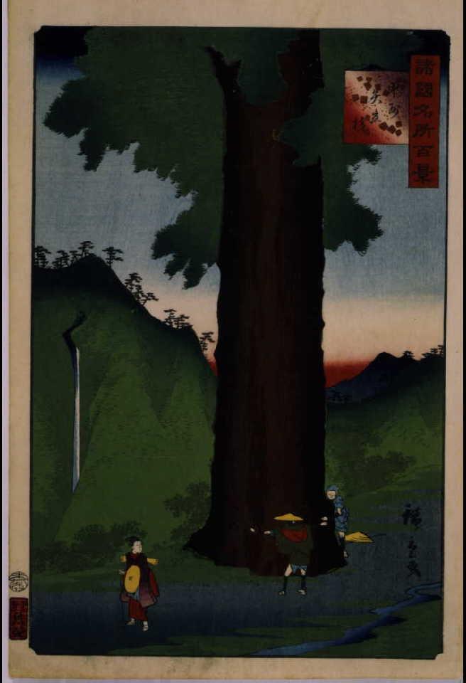 作品画像:諸国名所百景 甲州矢立杉
