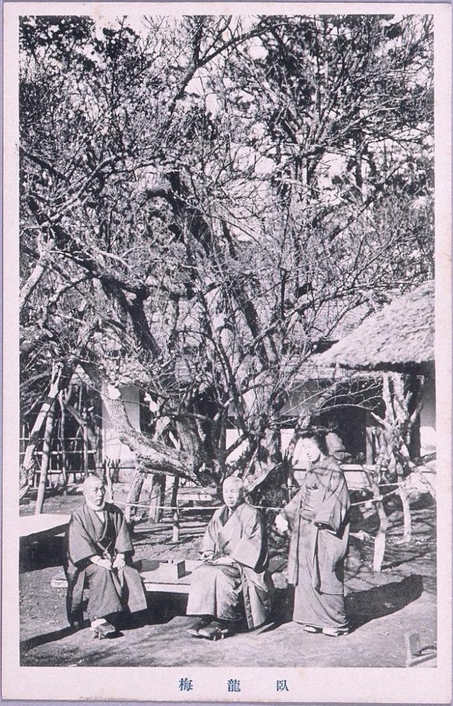 作品画像:臥龍梅(男性2人 女性1人)
