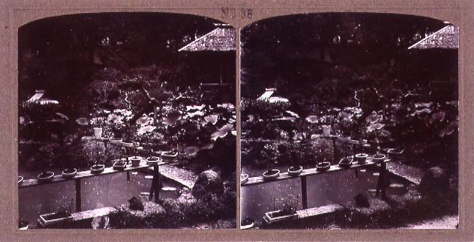 作品画像:庭園(No.38)