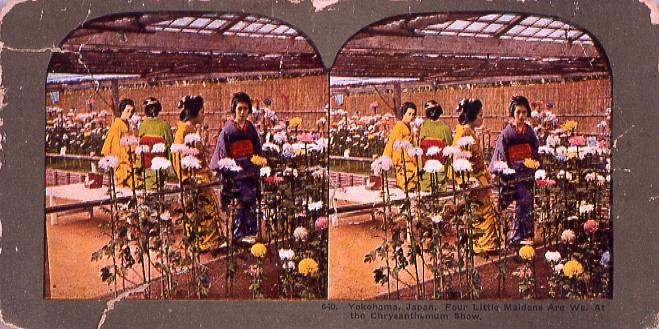 作品画像:Yokohama,Japan.Four Little MaidensAre We.At the Chrysantheumun Show.640
