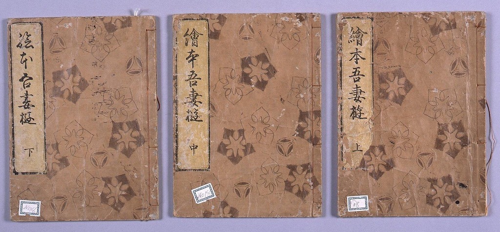 作品画像:絵本吾妻遊