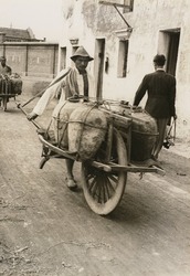 (中国)
