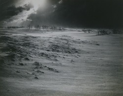 作品画像:砂丘の吹雪