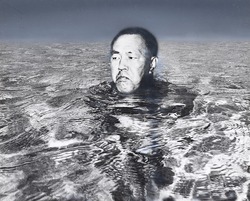 作品画像:(泳ぐ田中角栄)