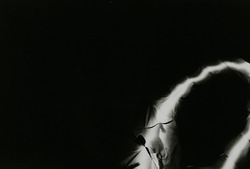 作品画像:藤井友子