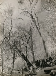 作品画像:(山岳道場)