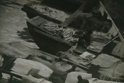 作品画像:上海