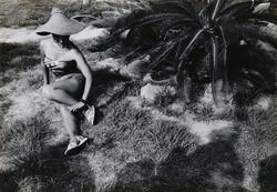 作品画像:夏の肌をたのしむ