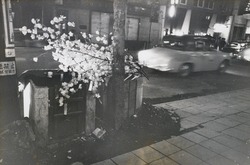 作品画像:(夜の街)