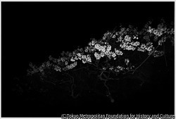 作品画像:10