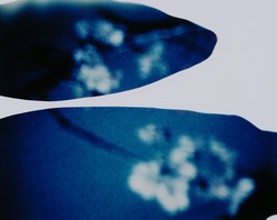 作品画像:UNTITLED