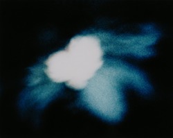 作品画像:UNTITLED