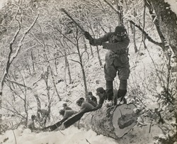 作品画像:(山岳道場)