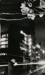 (夜の桜・モンタージュ)