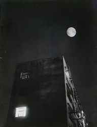 作品画像:夜しづか