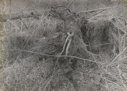 作品画像:グレイ・トーンによる風景