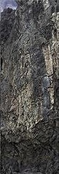 作品画像:Okinawa#014
