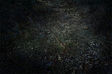 作品画像:#012