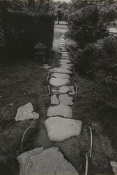 作品画像:桂離宮 笑意軒から御殿芝生へつづく敷石 三角燈籠がみえる