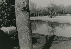 作品画像:(朝日藤波式望遠・中国)