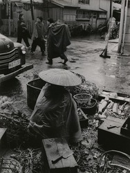 作品画像:(行商)