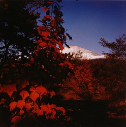 作品画像:(山)