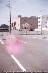 作品画像:いわき市、福島