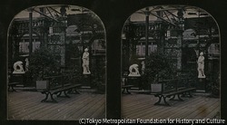 作品画像:クリスタル・パレス