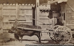作品画像:(牛車)