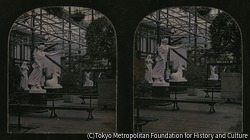 作品画像:クリスタル・パレス