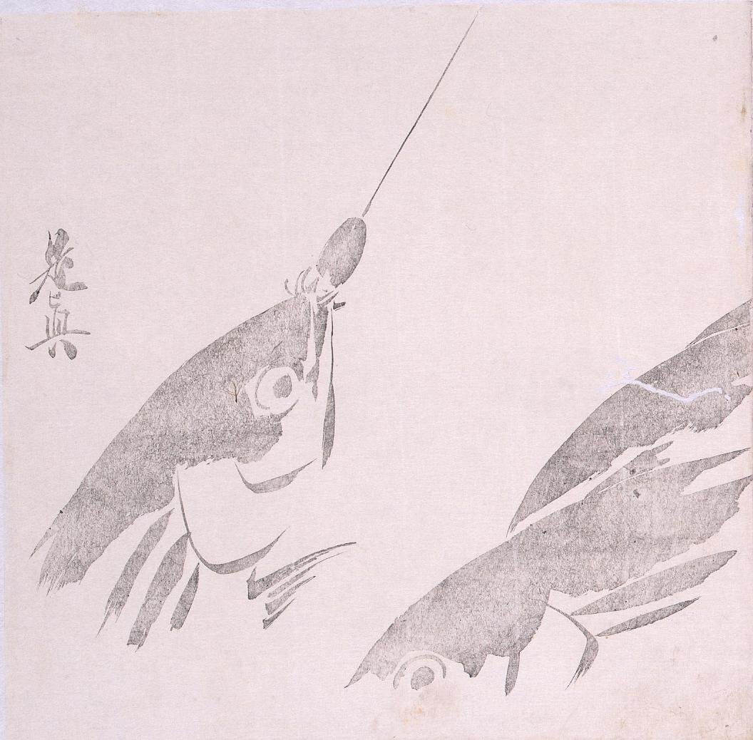 Black Print: Bonitoes (Shibata Zeshin's Block Print, Black Print, Other Prints)