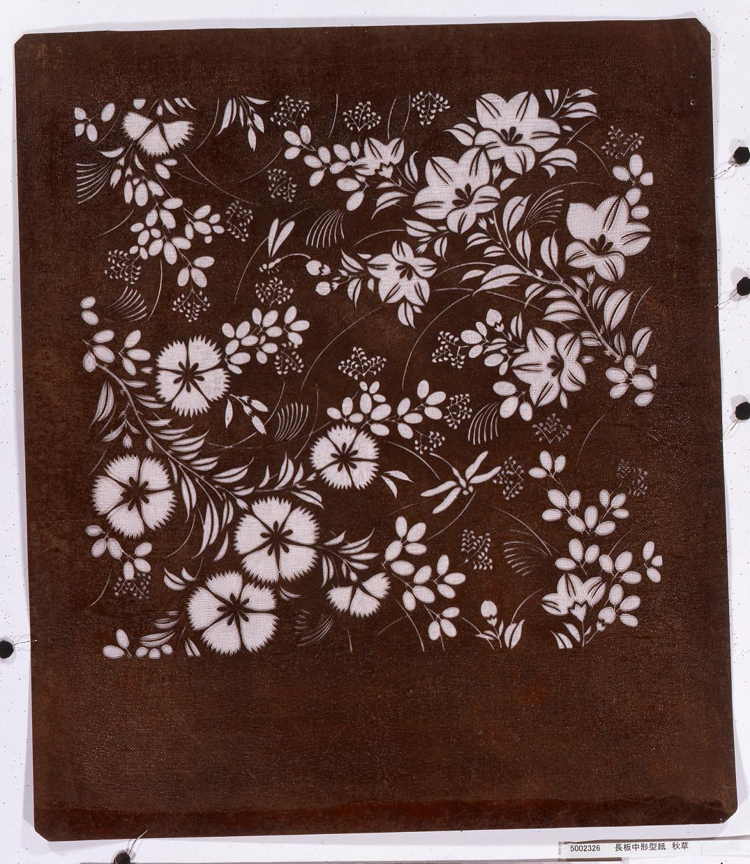 長板中形型紙 秋草