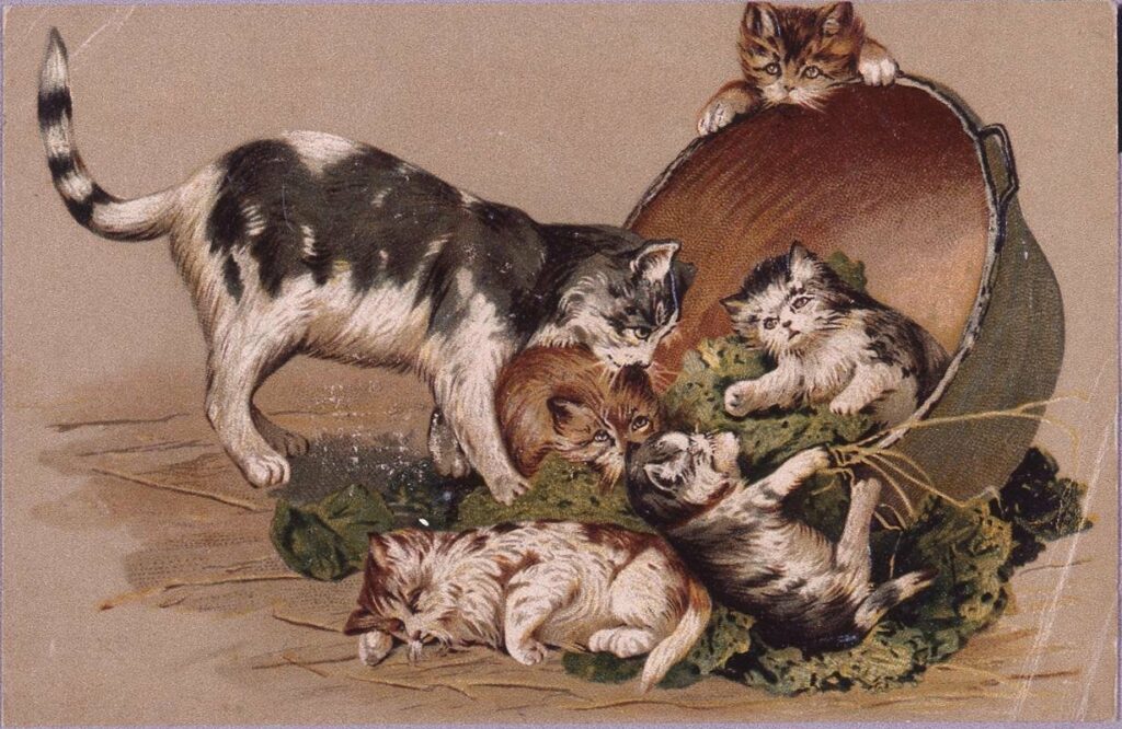 作品画像:外国製絵葉書 猫と鍋