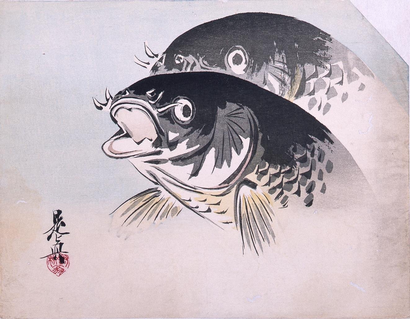 Multi-color Print: Carps (Shibata Zeshin's Block Print, Black Print, Other Prints)