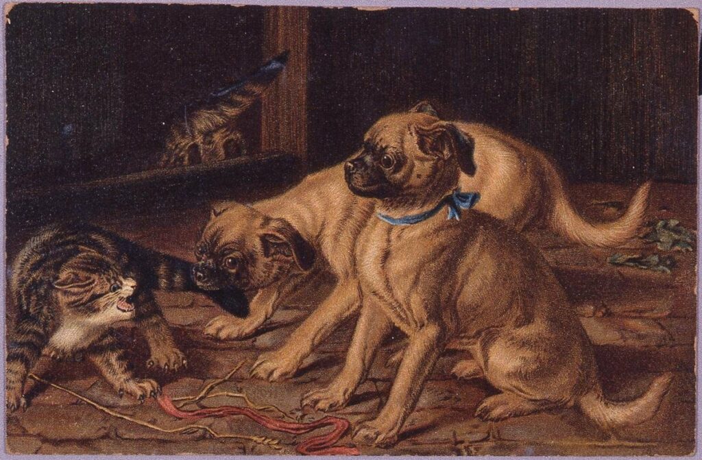 作品画像:犬と猫(Raphael Tuck&Sons’”Art”Series 1614)(外国製)