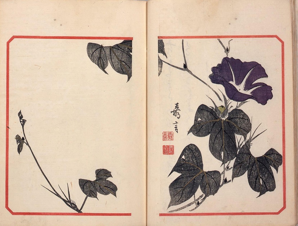 作品画像:牽牛花百種 全