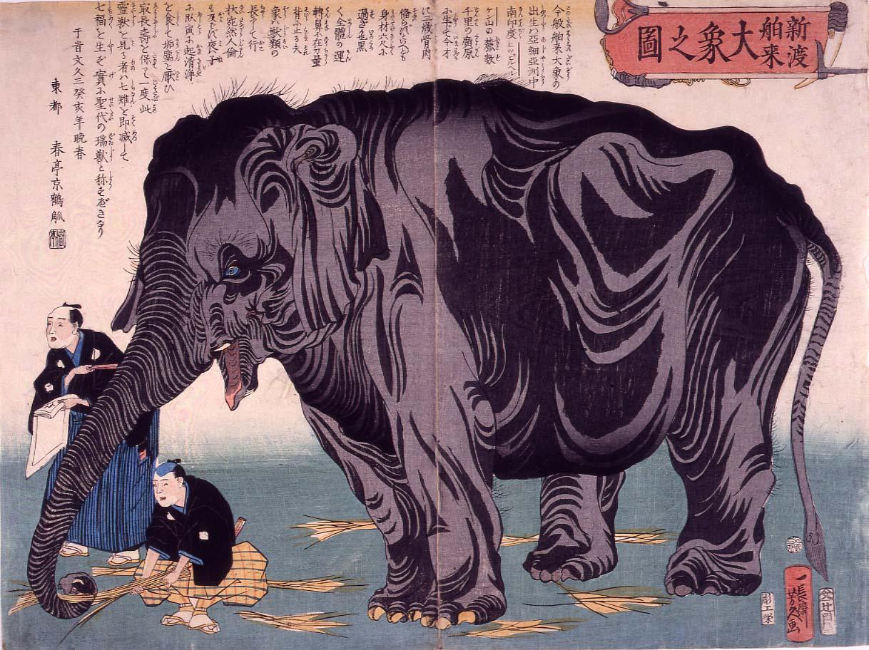 新渡舶来大象之図 | ToMuCo - Tokyo Museum Collection