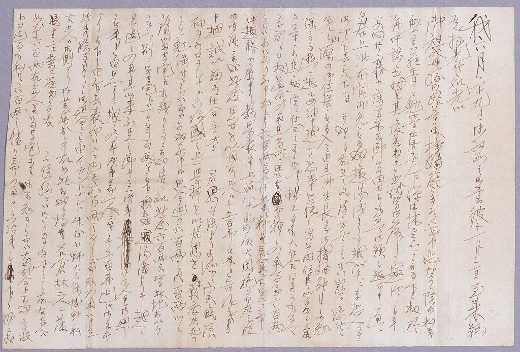 作品画像：両親宛書簡(フラットブッシュより　給費額加増につき連絡)